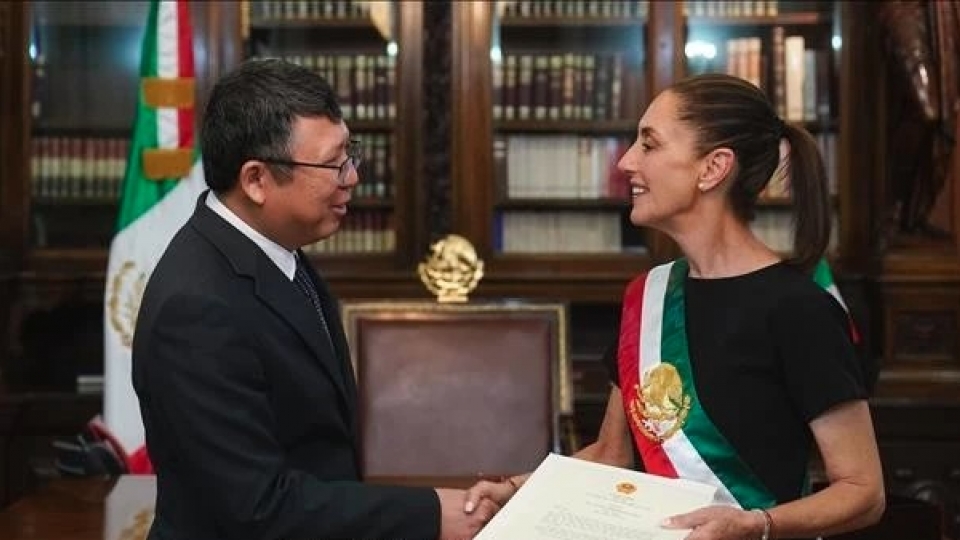 Vietnam desires stronger cooperation with Mexico on 50th anniversary of diplomatic ties